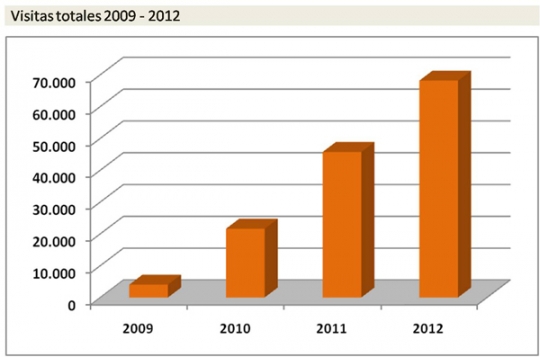 www.fundacionsigno.com supera las 68 000 visitas en 2012